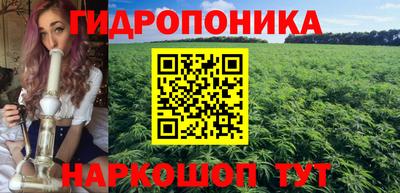 кокс Донской