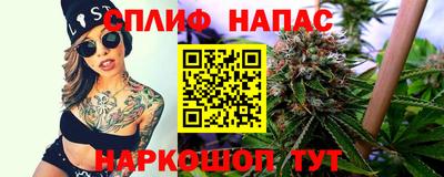амф Дубна