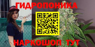 кокс Донской