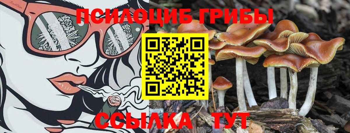 Галлюциногенные грибы Cubensis Лянтор
